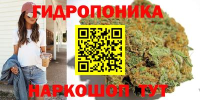 каннабис Дубна
