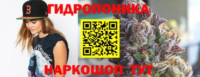мдпв Донецк