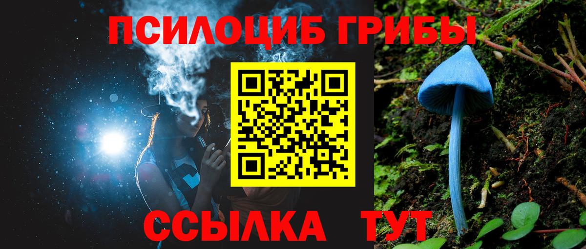 продажа наркотиков  Вход с VPN  Тара  Псилоцибиновые грибы GOLDEN TEACHER 